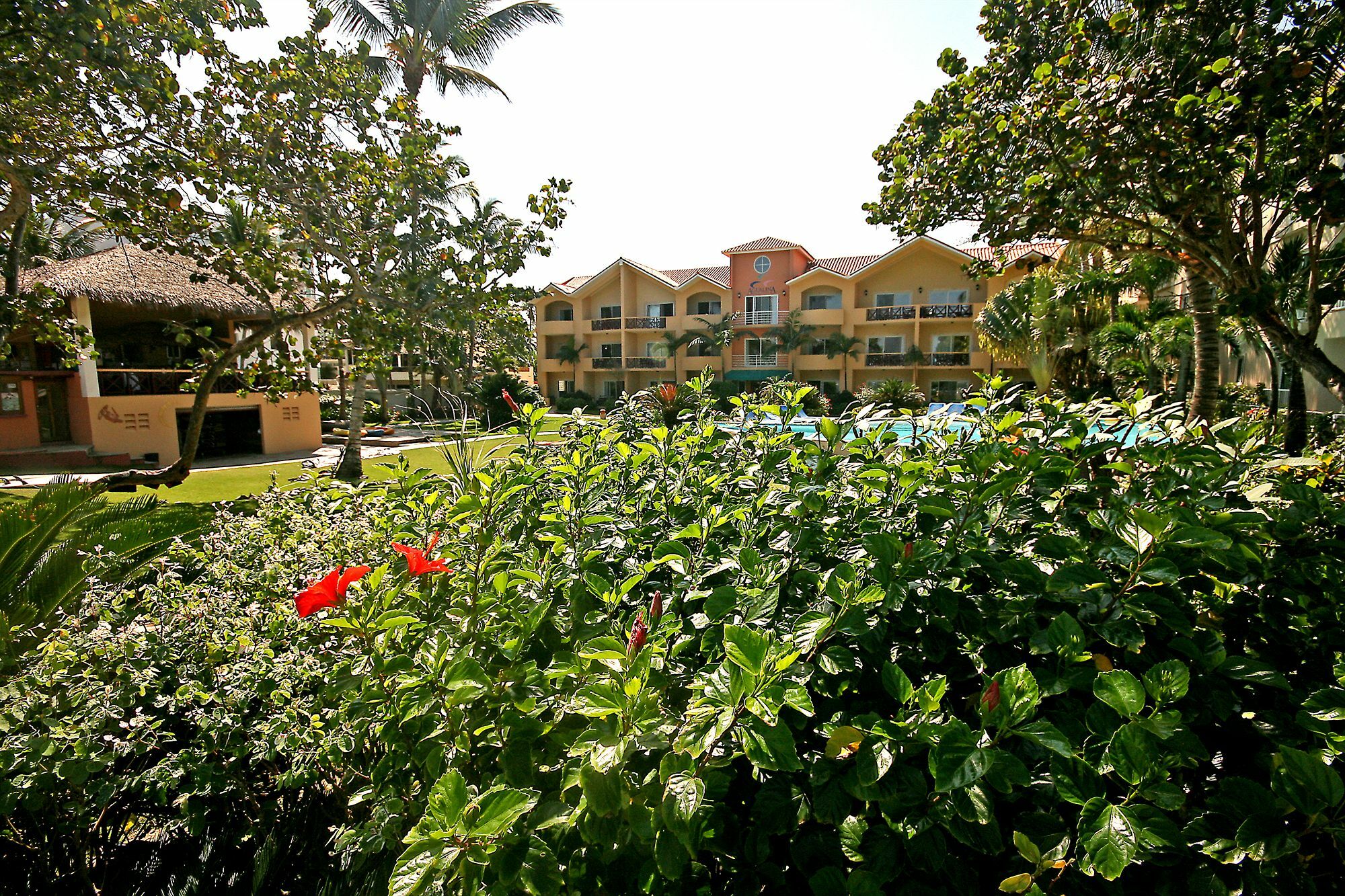 Agualina Kite Resort Cabarete Extérieur photo